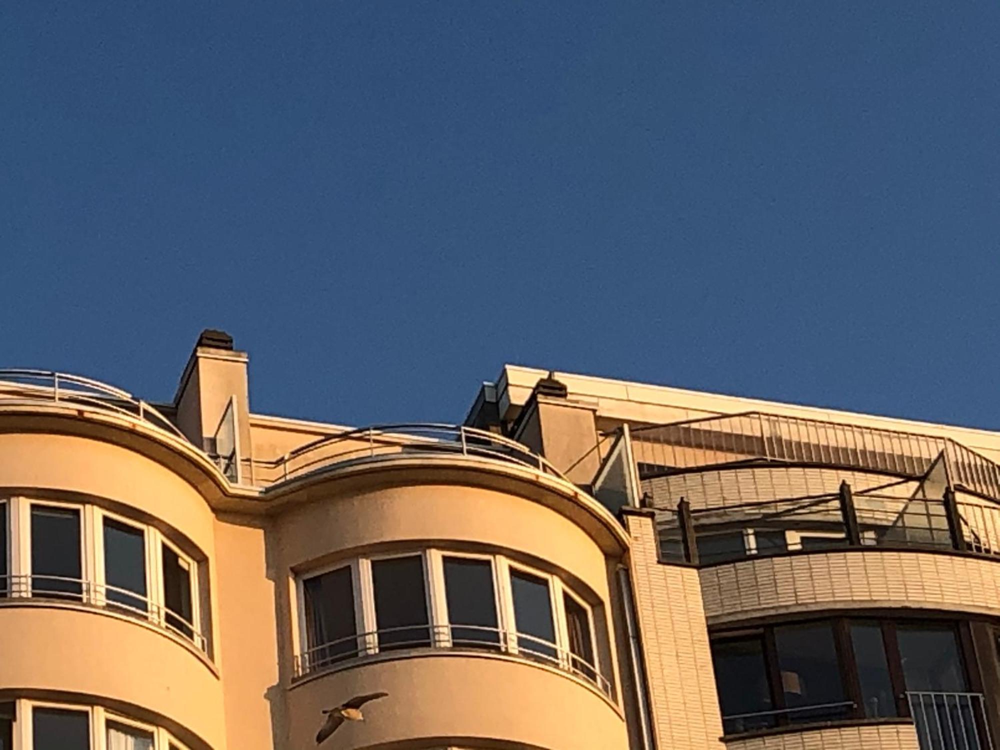El Mirador Quality Stay - Apartments Ostende Exterior foto